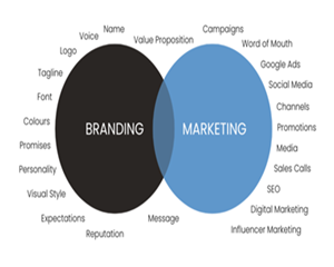 branding 1.webp