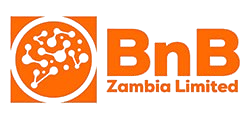 bnb 1 removebg preview.webp
